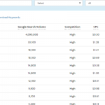 Google Ads Free Keyword Selector Tool