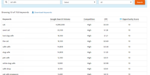 Google Ads Free Keyword Selector Tool