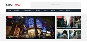 In Search of the Perfect WordPress Theme