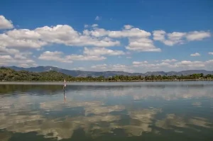Rowo Jombor Klaten A Natural Tourism Spot Offering the Beauty of a Lake and Captivating Scenery