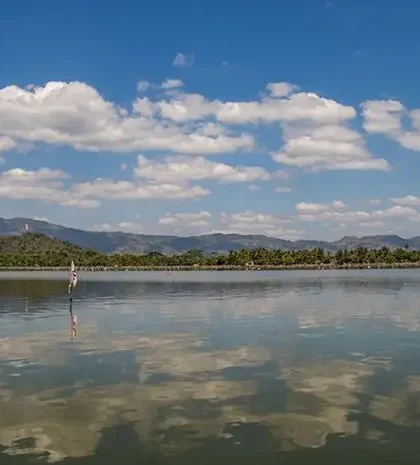 Rowo Jombor Klaten A Natural Tourism Spot Offering the Beauty of a Lake and Captivating Scenery