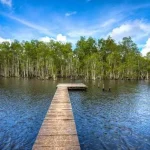 Wasur National Park The Best Place to Observe Rare Birds and Enjoy the Captivating Wetland Beauty