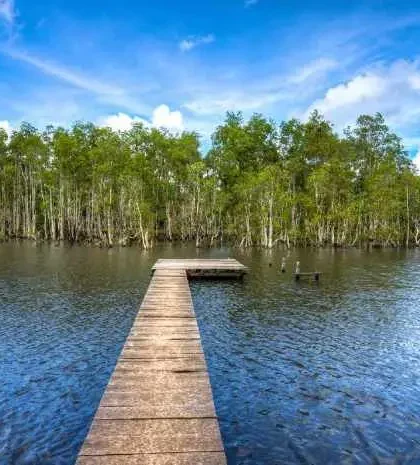 Wasur National Park The Best Place to Observe Rare Birds and Enjoy the Captivating Wetland Beauty