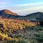 Interesting Facts about Mount Lawu