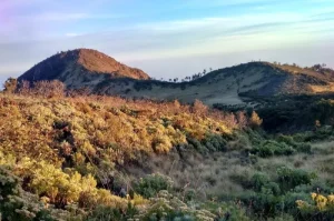 Interesting Facts about Mount Lawu