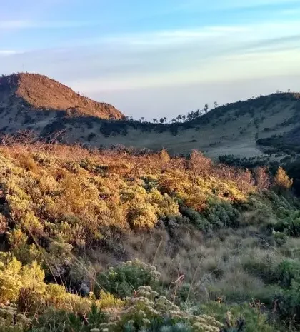 Interesting Facts about Mount Lawu