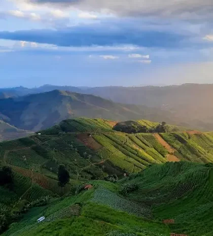 Panyaweuyan Terraces