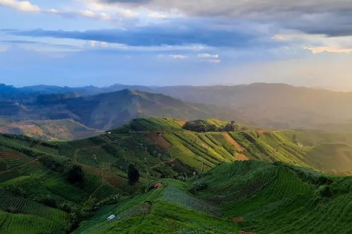 Panyaweuyan Terraces